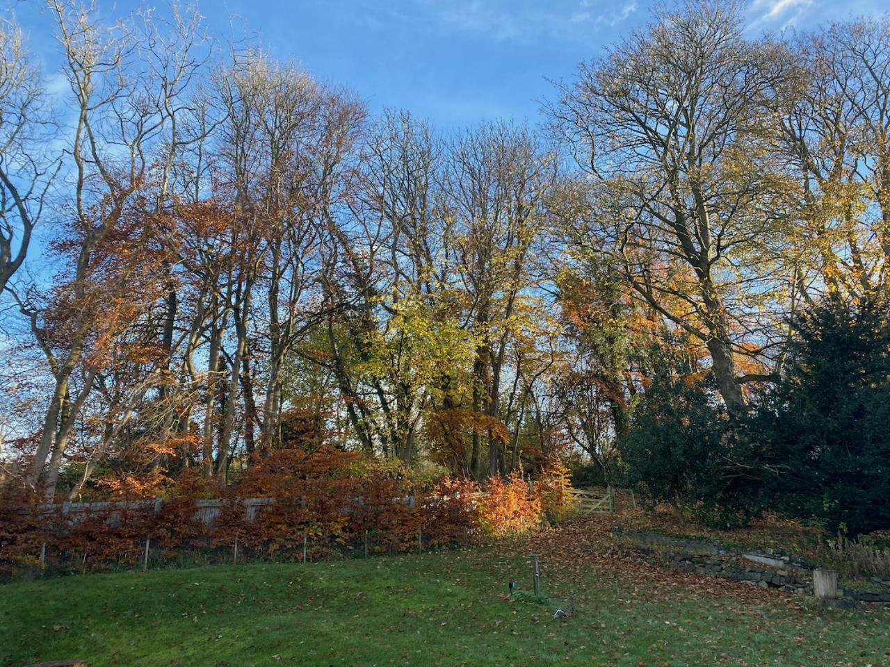 Mill Cottage Garden Studio Nr Melrose Bagian luar foto